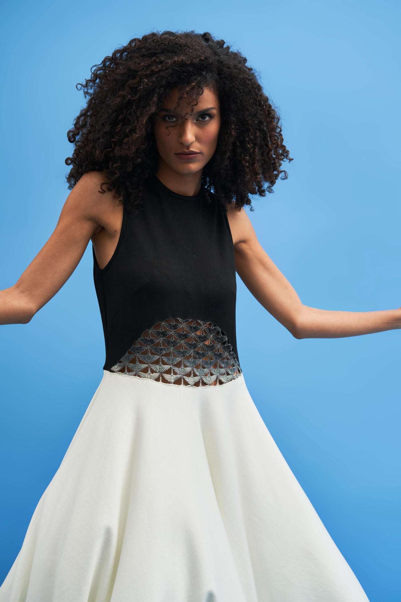 Ombre Crane Lace Dress - siddhantagrawal