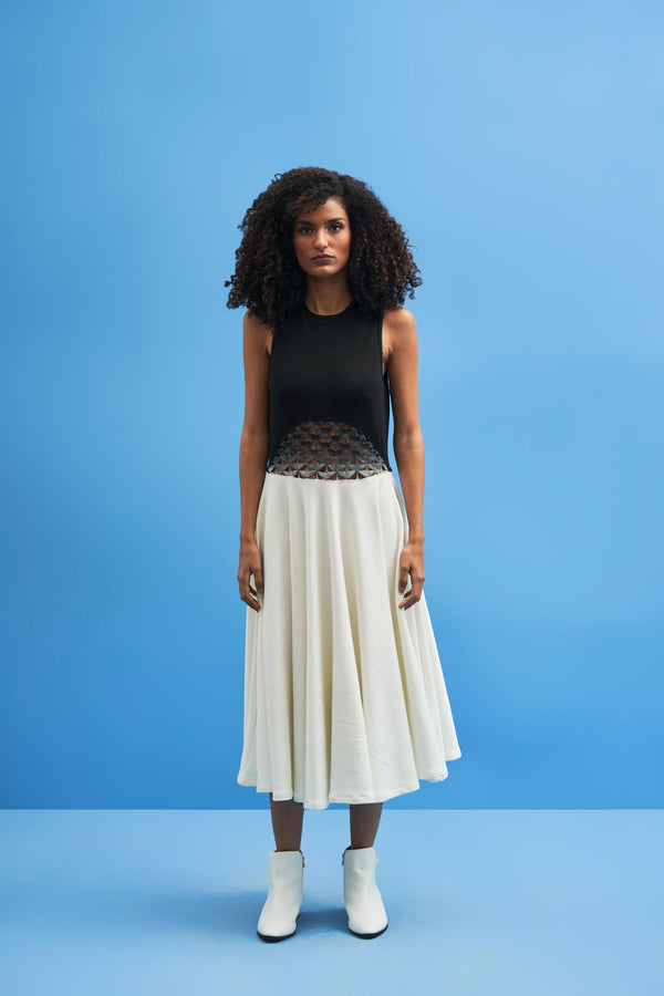 Ombre Crane Lace Dress - siddhantagrawal