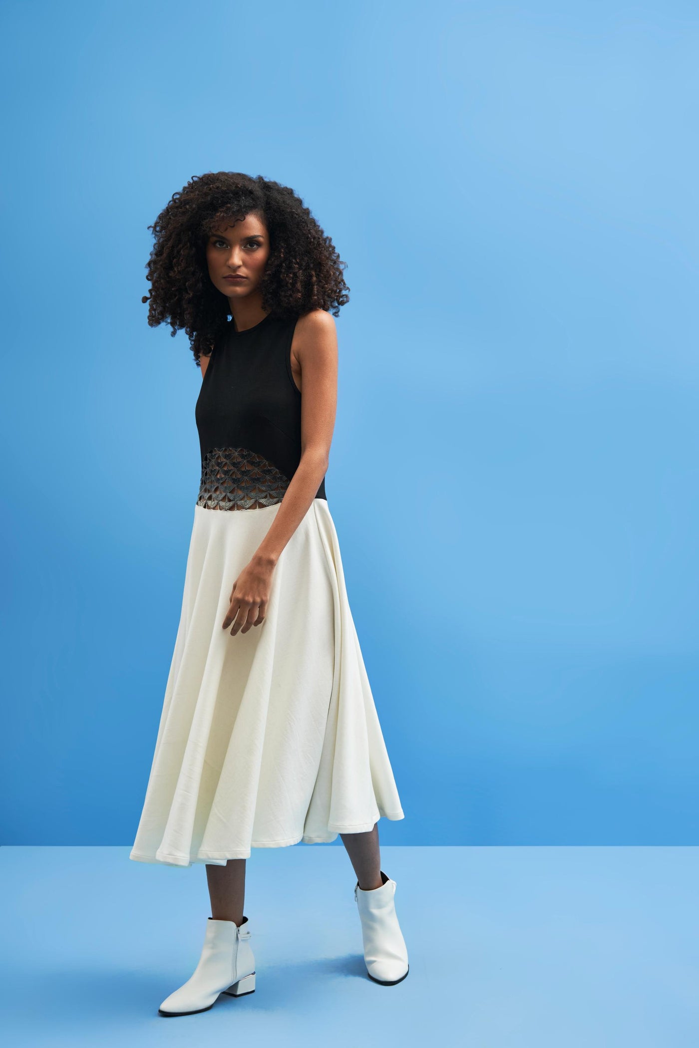 Ombre Crane Lace Dress - siddhantagrawal