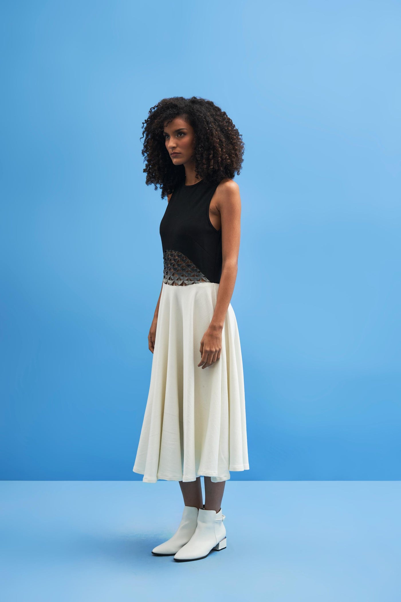 Ombre Crane Lace Dress - siddhantagrawal
