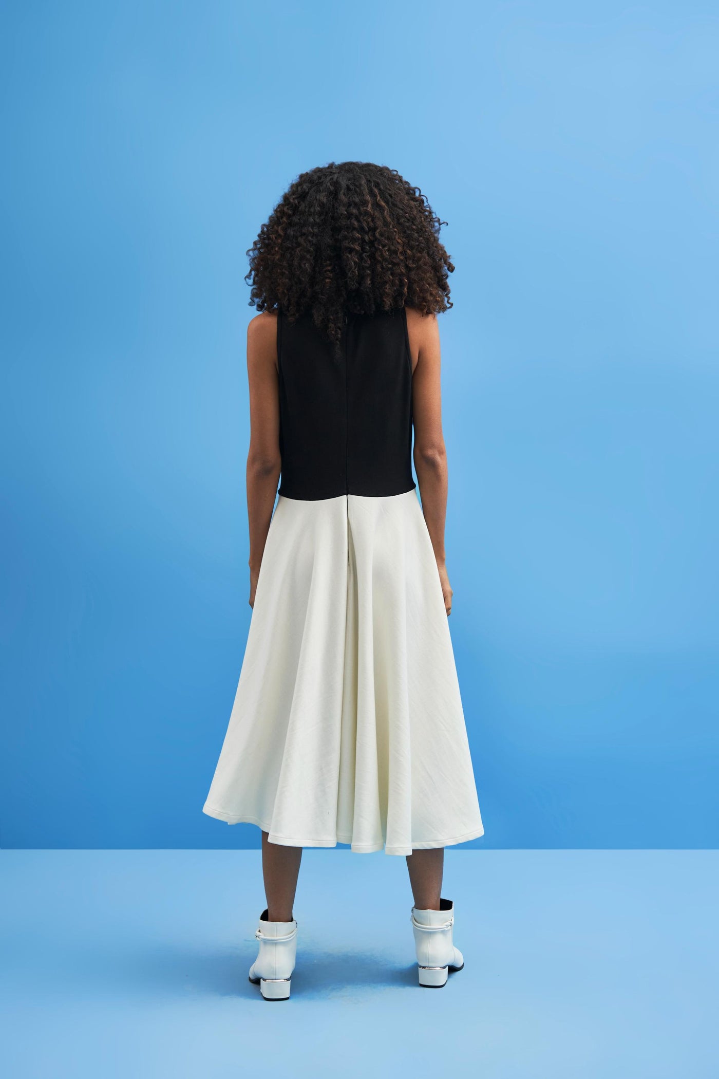 Ombre Crane Lace Dress - siddhantagrawal