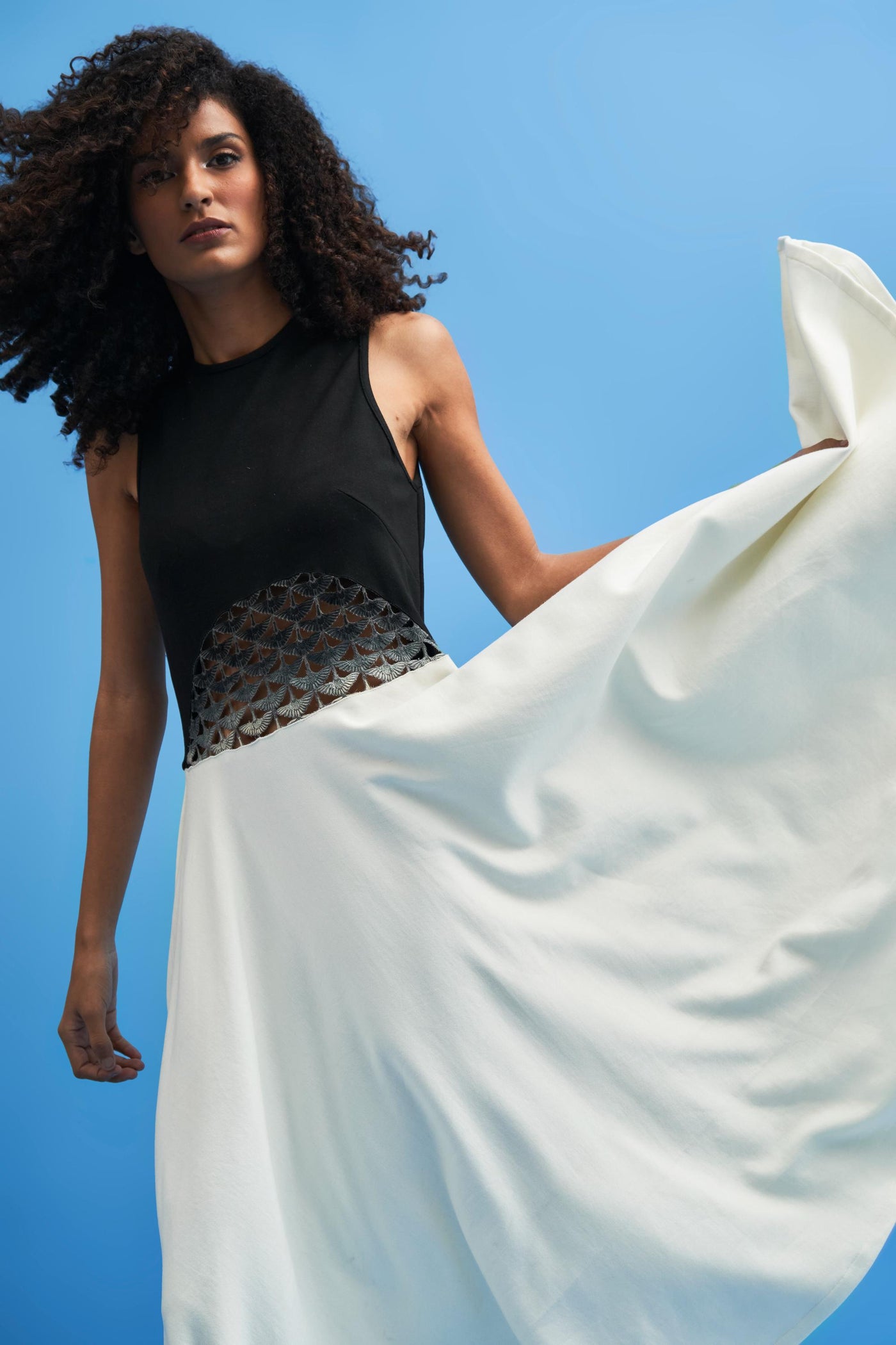 Ombre Crane Lace Dress - siddhantagrawal